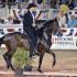 Paso Fino Performance Championship